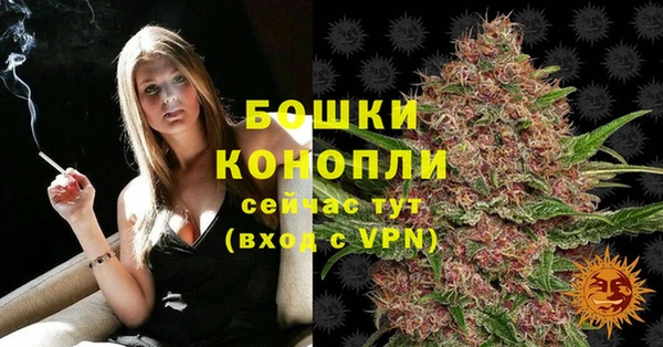 гашик Инта