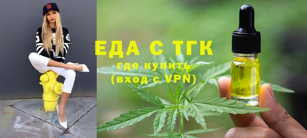гашик Инта