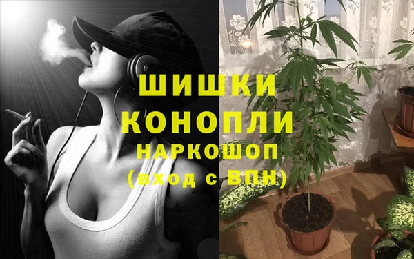 гашик Инта