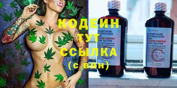 гашик Инта