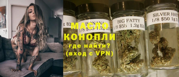 гашик Инта