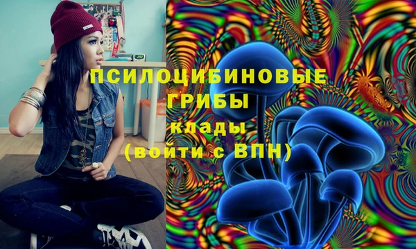 гашик Инта