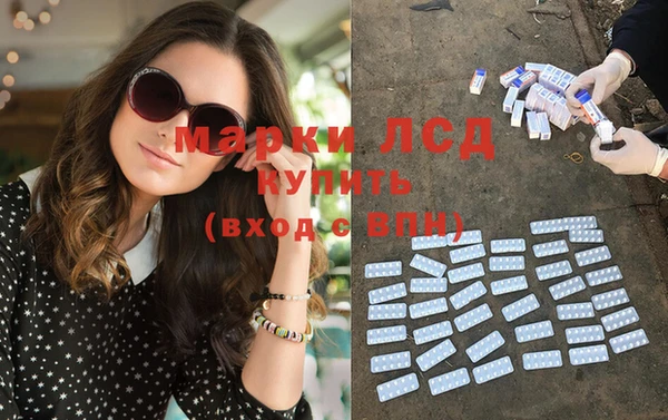 гашик Инта