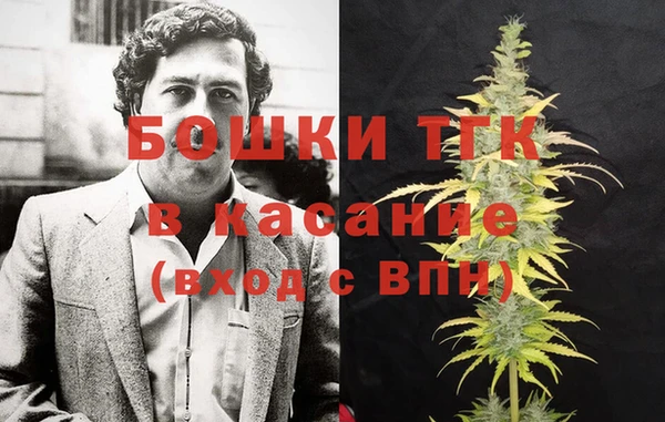 гашик Инта